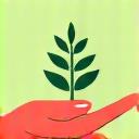 Icon representing personalized health plan