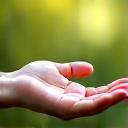 A compassionate hand extended to another, symbolizing guidance and expert support, with a subtle natural backdrop.